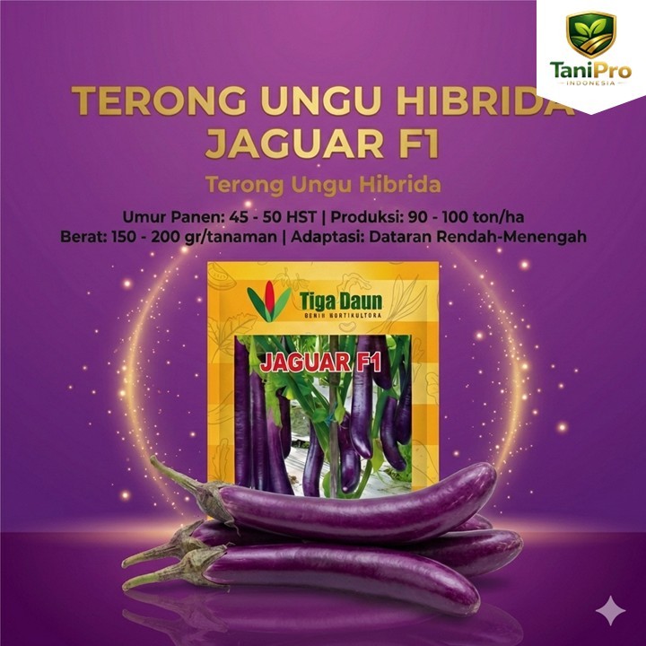 Benih Terong Ungu Panjang Hibrida Jaguar F1 kemasan 5 Gram Original Cap Tiga Daun