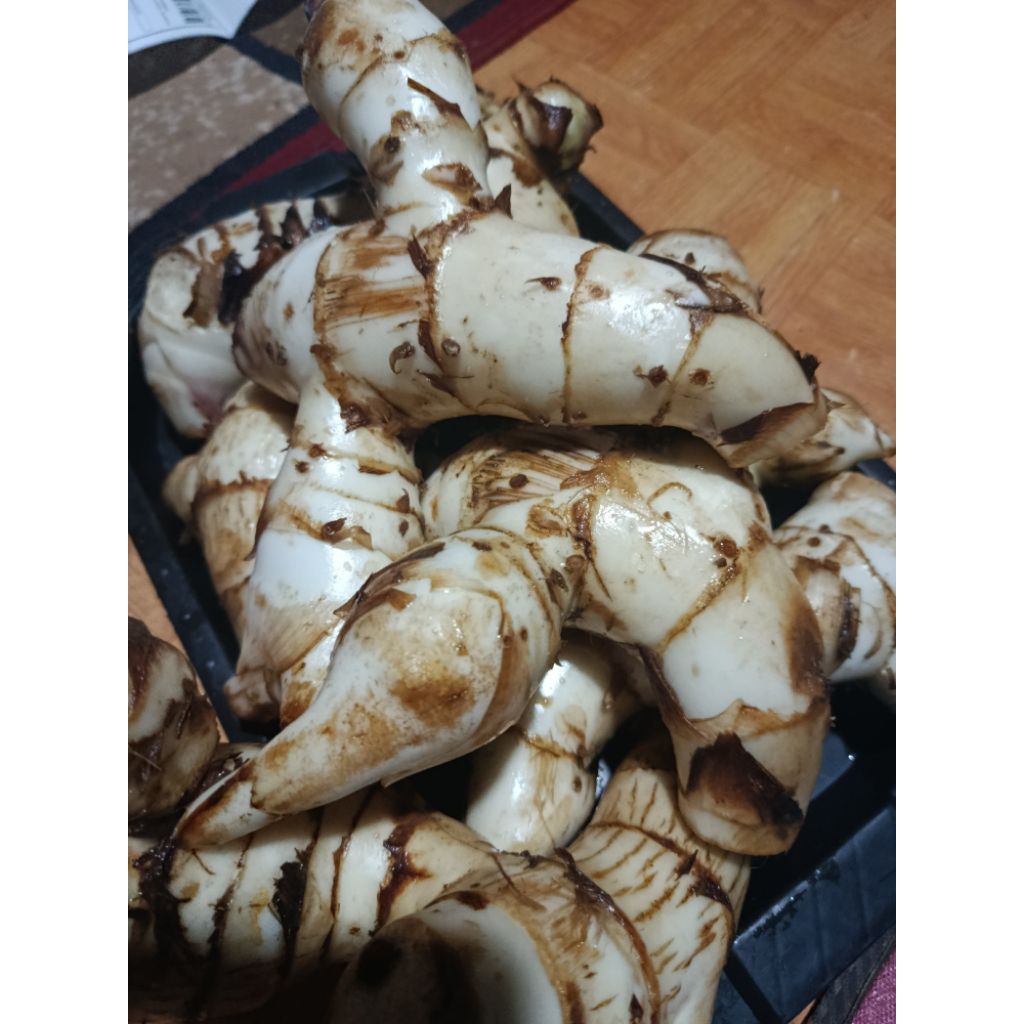 Umbi ganyong segar ubi ganyong segar 1 kg