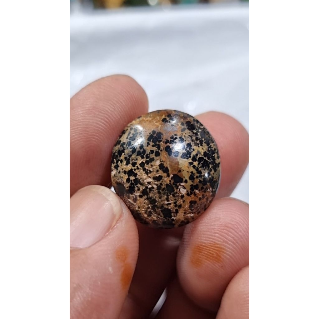 natural pirus persia super black