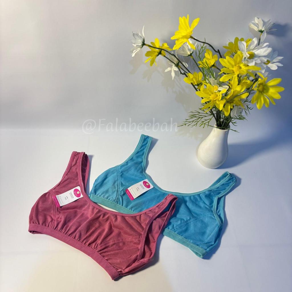 Grosir ISI 6 PCS Miniset BH Anak Perempuan Remaja SD SMP