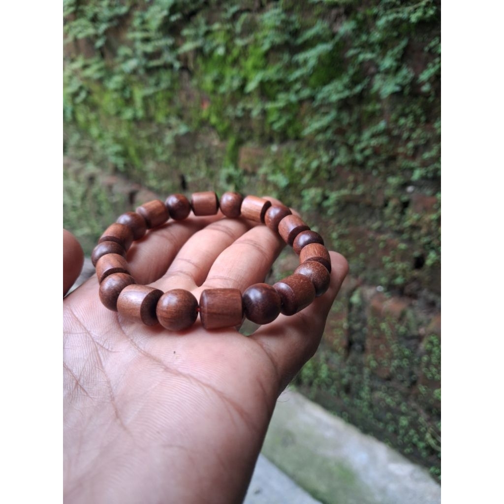 GELANG KAYU GALIH STIGI MATI NGURAK
