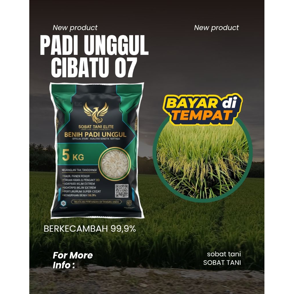 Benih padi CIBATU 07 KEMASAN 5KG BERKUALITAS ORIGINAL TAHAN REBAH TAHAN HAMA TAHAN TIKUS DLL POTENSI