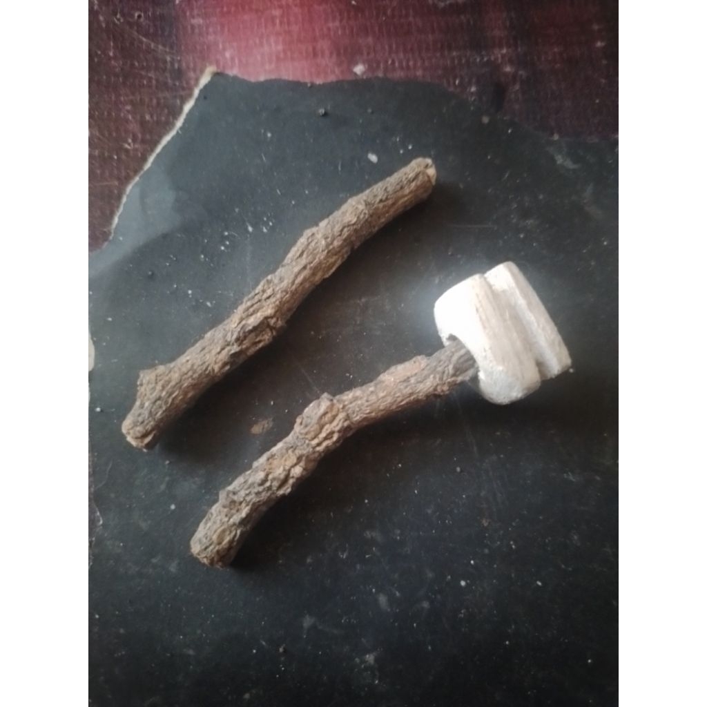 kayu asem tangkringan / penclokan burung kecil