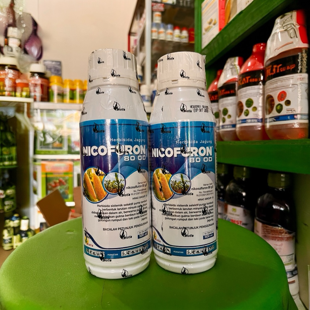 Herbisida Selektif Jagung NICOFURON 80OD kemasan 500ml. Herbisida rumput Lulangan Tanaman Jagung