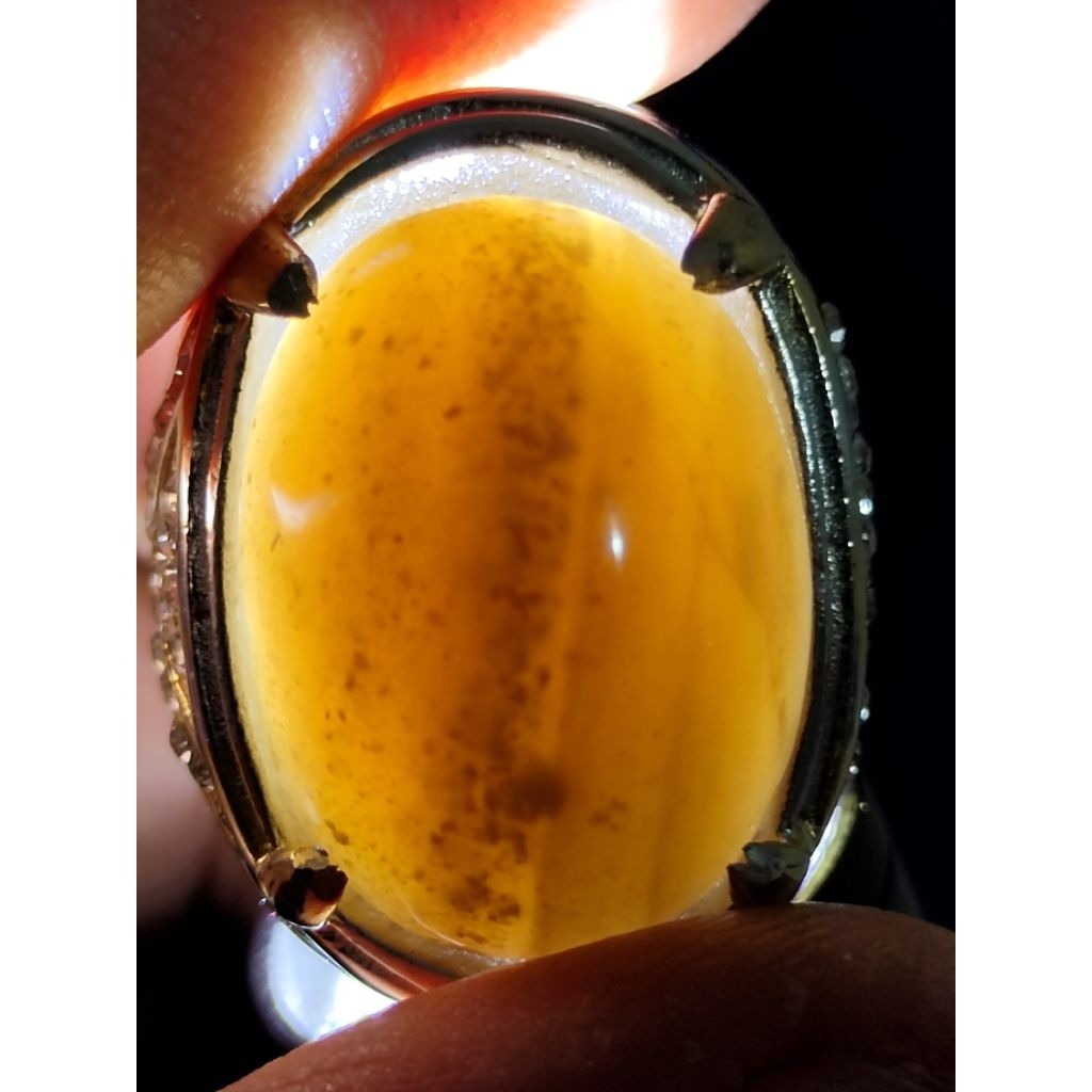 Natural Asem Petrified Wood, CRYSTAL, MYSTIC / Batu Fosil Kayu Asem, KRISTAL, SAKRAL, KENDIT