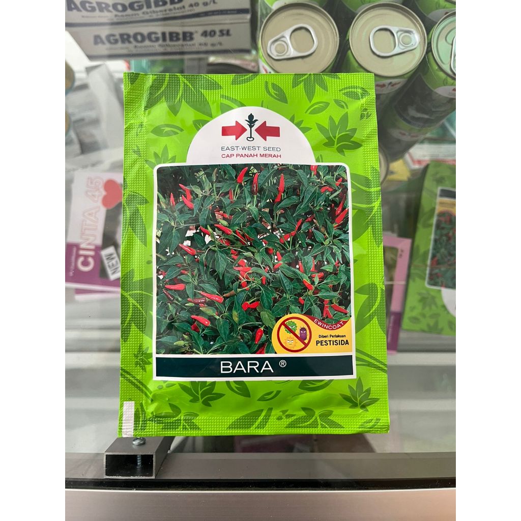 Benih Cabe Rawit Bara Panah Merah