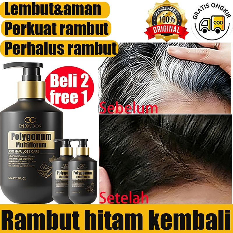 Shampo Penghilang Uban Permanen Penghitam Black  Shampoo Anti Rontok Shampo 500g Mengubah rambut put