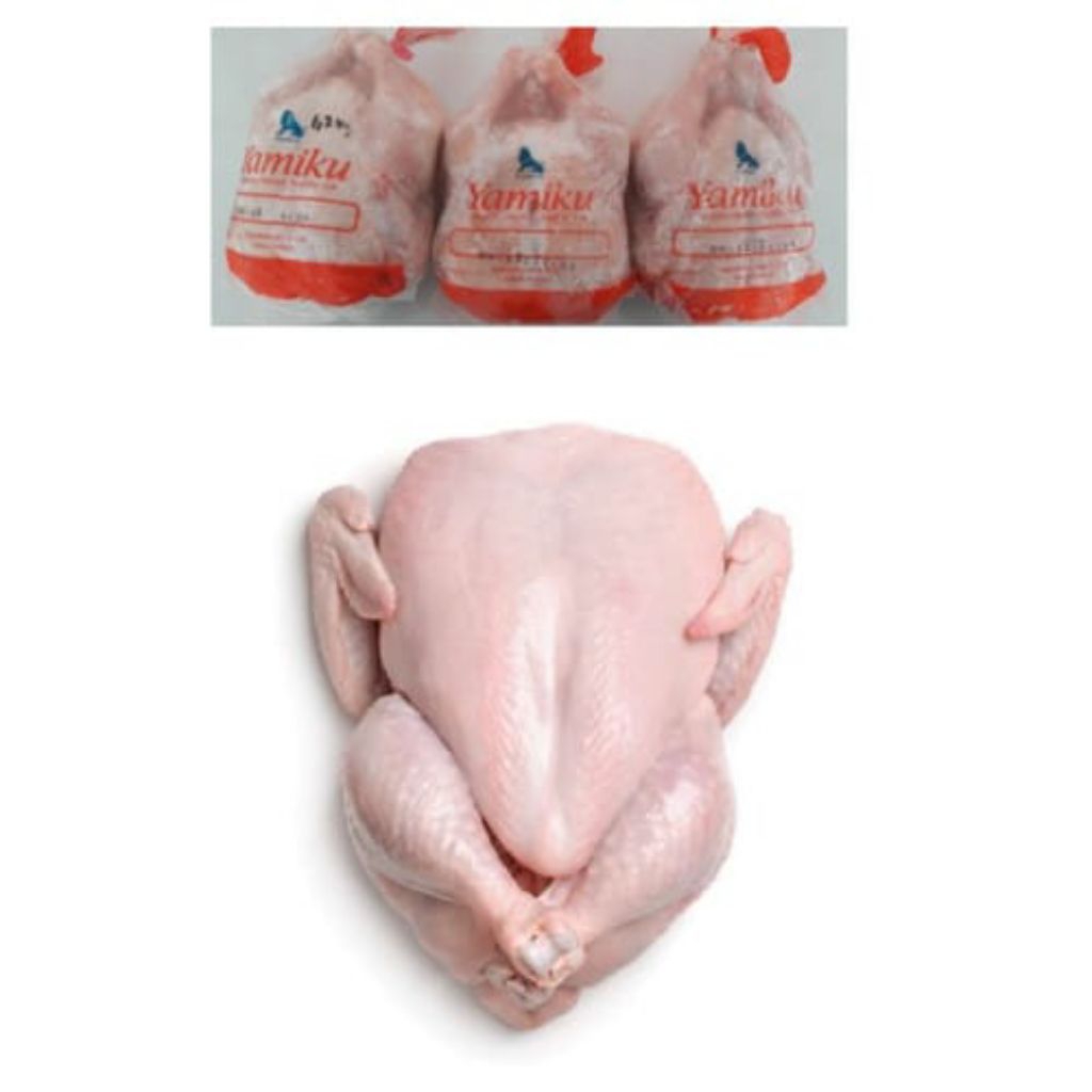 Ayam Karkas Broiler Ukuran 600-700 utuh