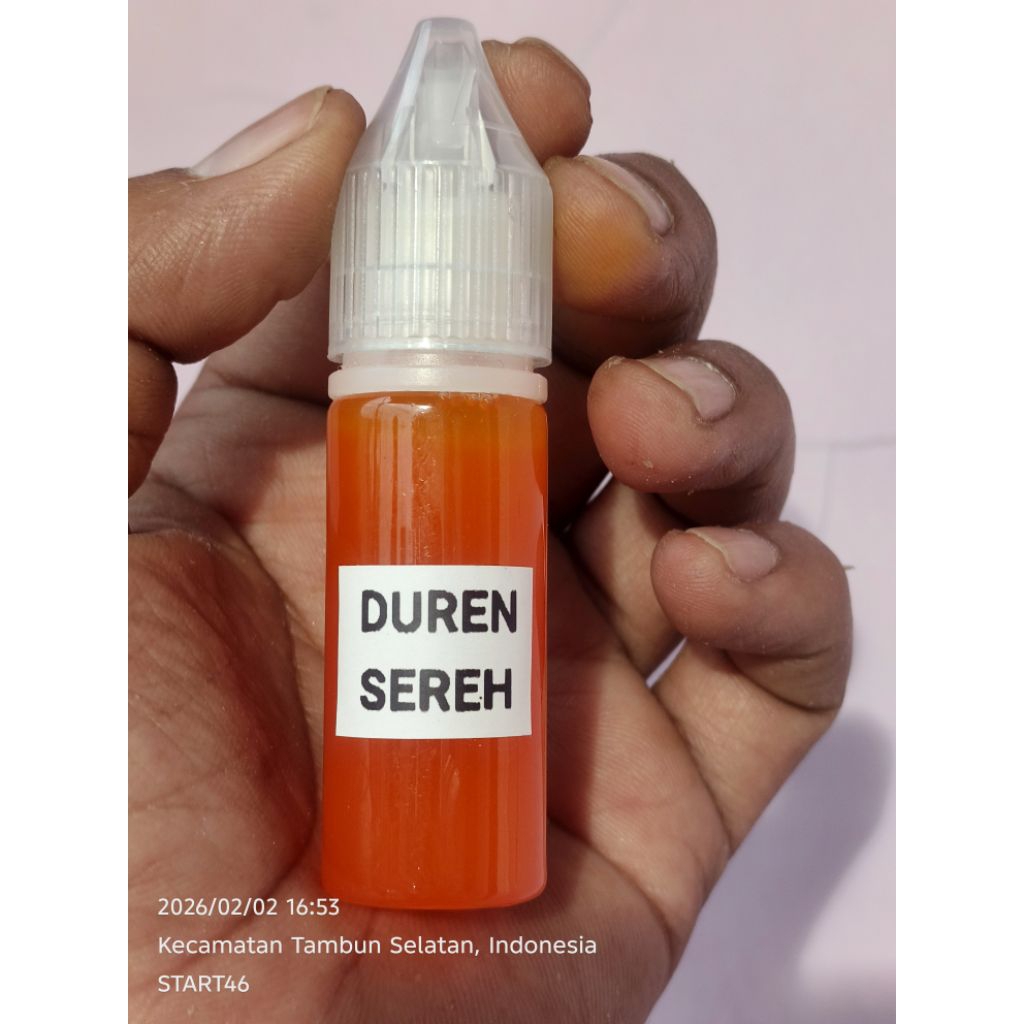 DUREN SEREH ESEN OPLOSAN UMPAN IKAN MAS GALAPUNG GALATAMA