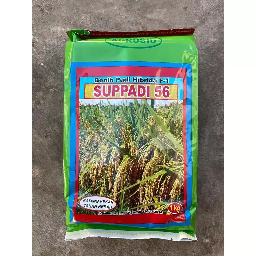 BENIH PADI HIBRIDA SUPADI 56 1KG