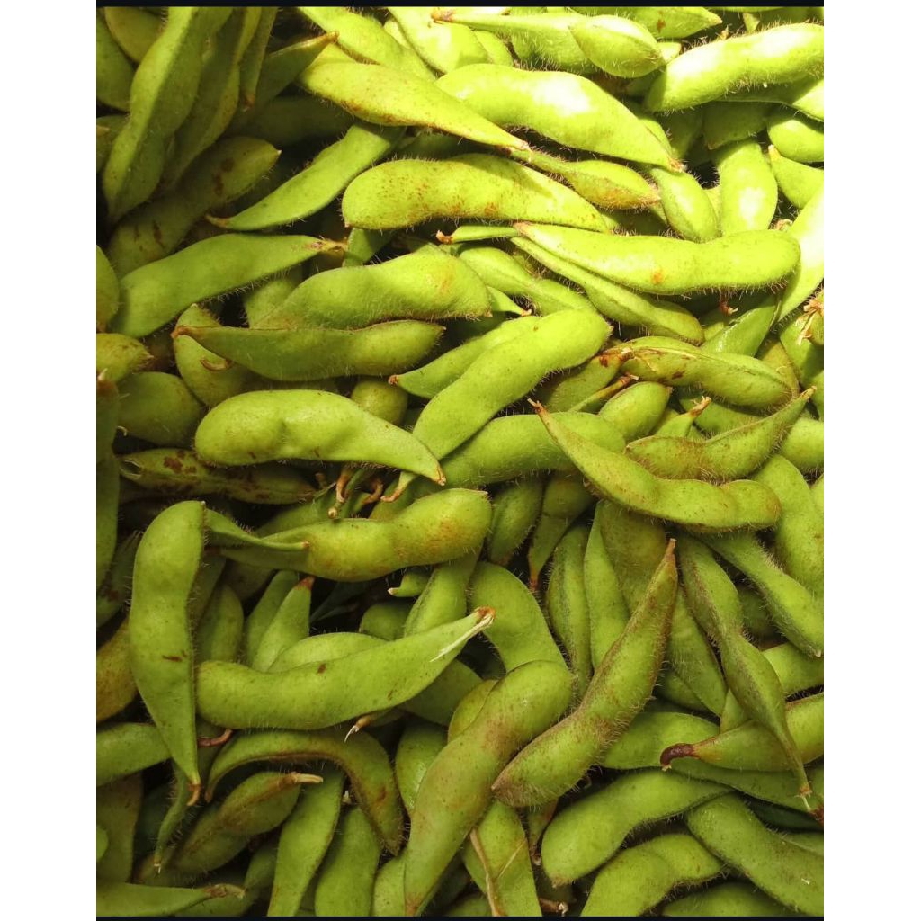 Edamame  fresh 1 kg asli jember Ready