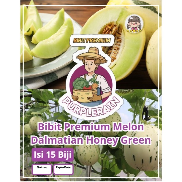 Bibit Premium Melon Dalmatian Honey Green | Biji Benih Melon Dalmatian Honey Green | Melon Dalmatian