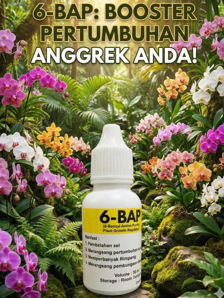 °SUPER MURAH HORMON ANGGREK 6 BAP KUNING° 30 ML• (Cocok untuk PenumbuhTunas &Pembungaan Anggrek)