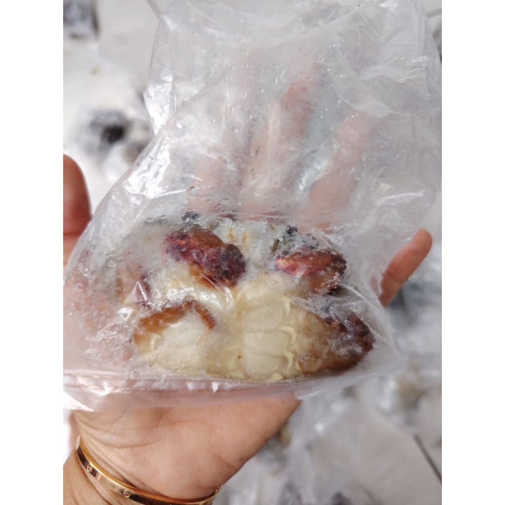 KEPITING SOKA, SOKA CANGKANG LUNAK