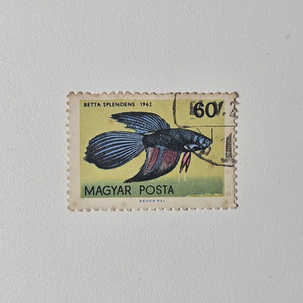 Perangko Fauna Ikan Cupang: Betta Betta (Perangko Vintage 1962)