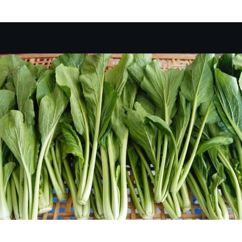 Original Sawi Hijau/Caisim Organik  1Kilo