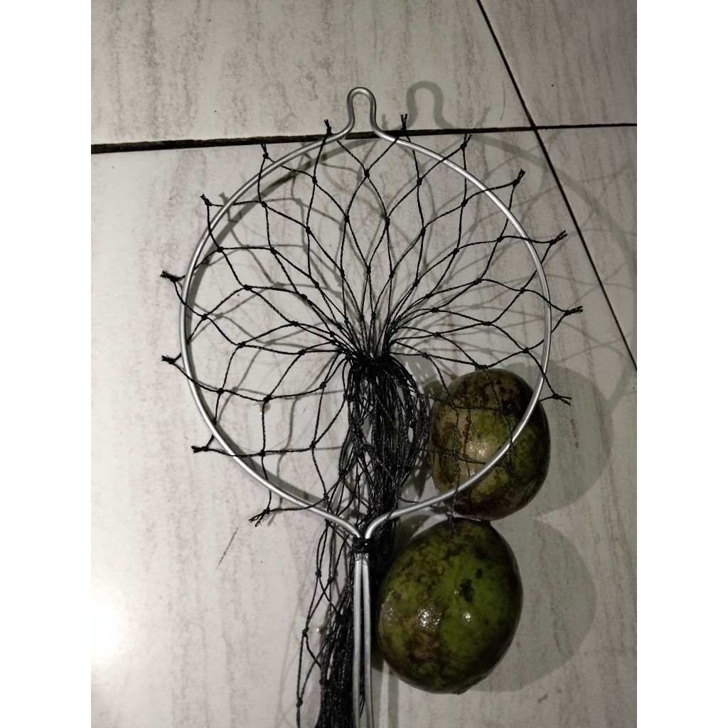Alat Pemetik Buah Mangga Alpukat Kedondong Dll