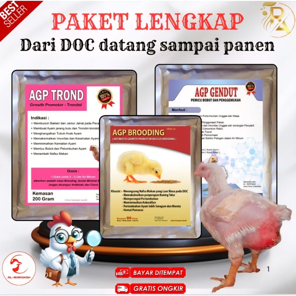 PAKET PREMIUM SAMPAI PANEN AGP BROODING AGP TROND AGP GENDUT