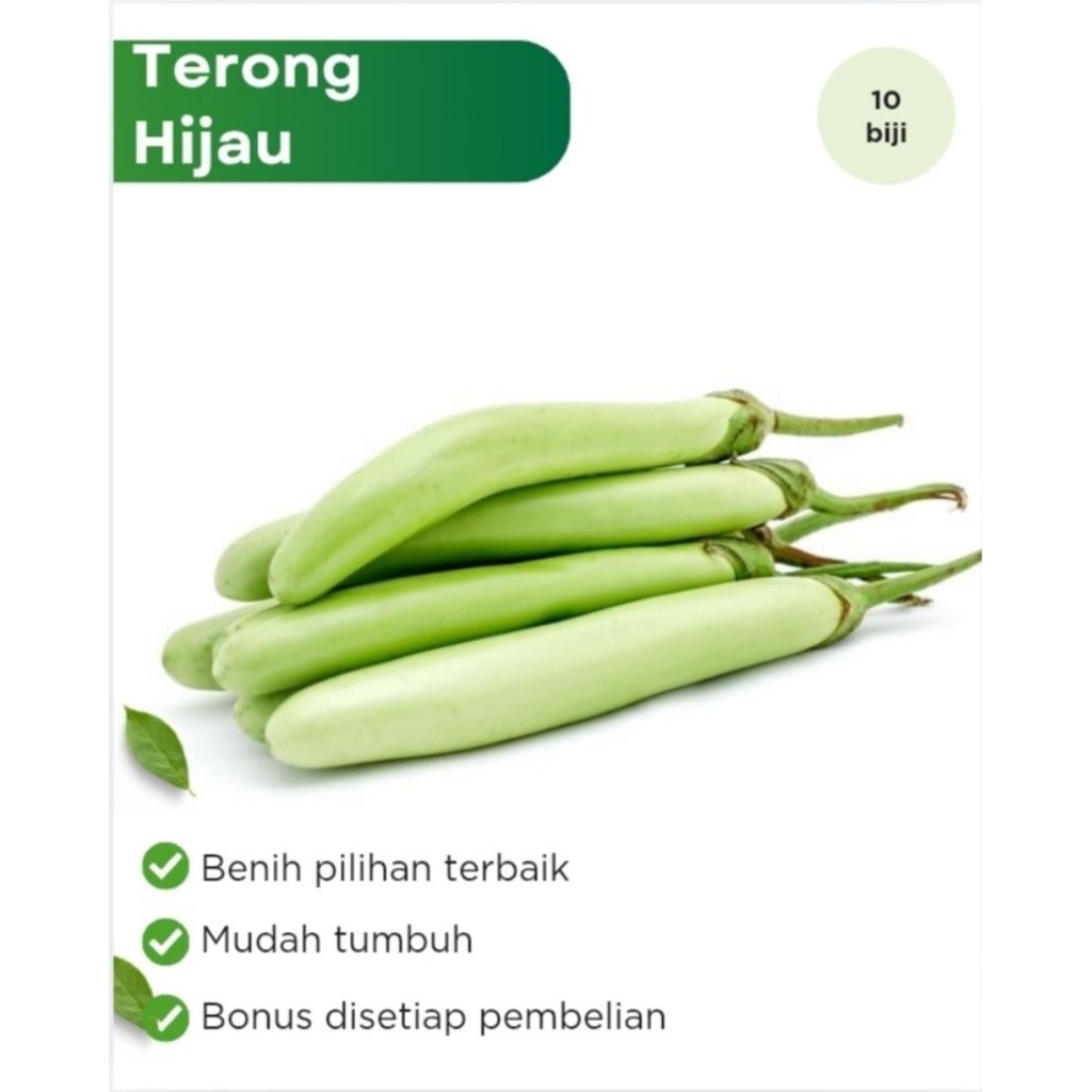 Bibit Sayuran Terong Hijau Benih Sayur Cap Panah Merah