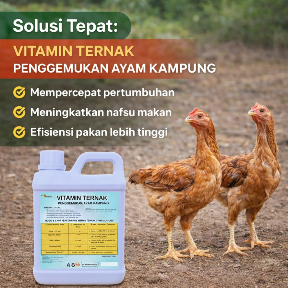 Vitamin Ayam Kampung Cepat Gemuk Obat Penggemukan Ayam Kampung Nafsu Makan Tinggi Cepat Besar Sehat