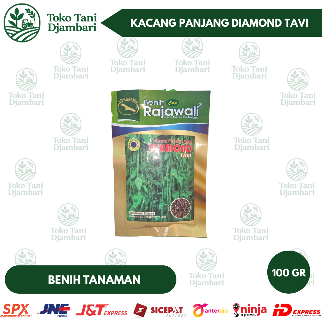 Benih Kacang Panjang Unggul Diamond Tavi Rajawali Asli – Bibit Sayur Produktif Tahan Penyakit (100gr