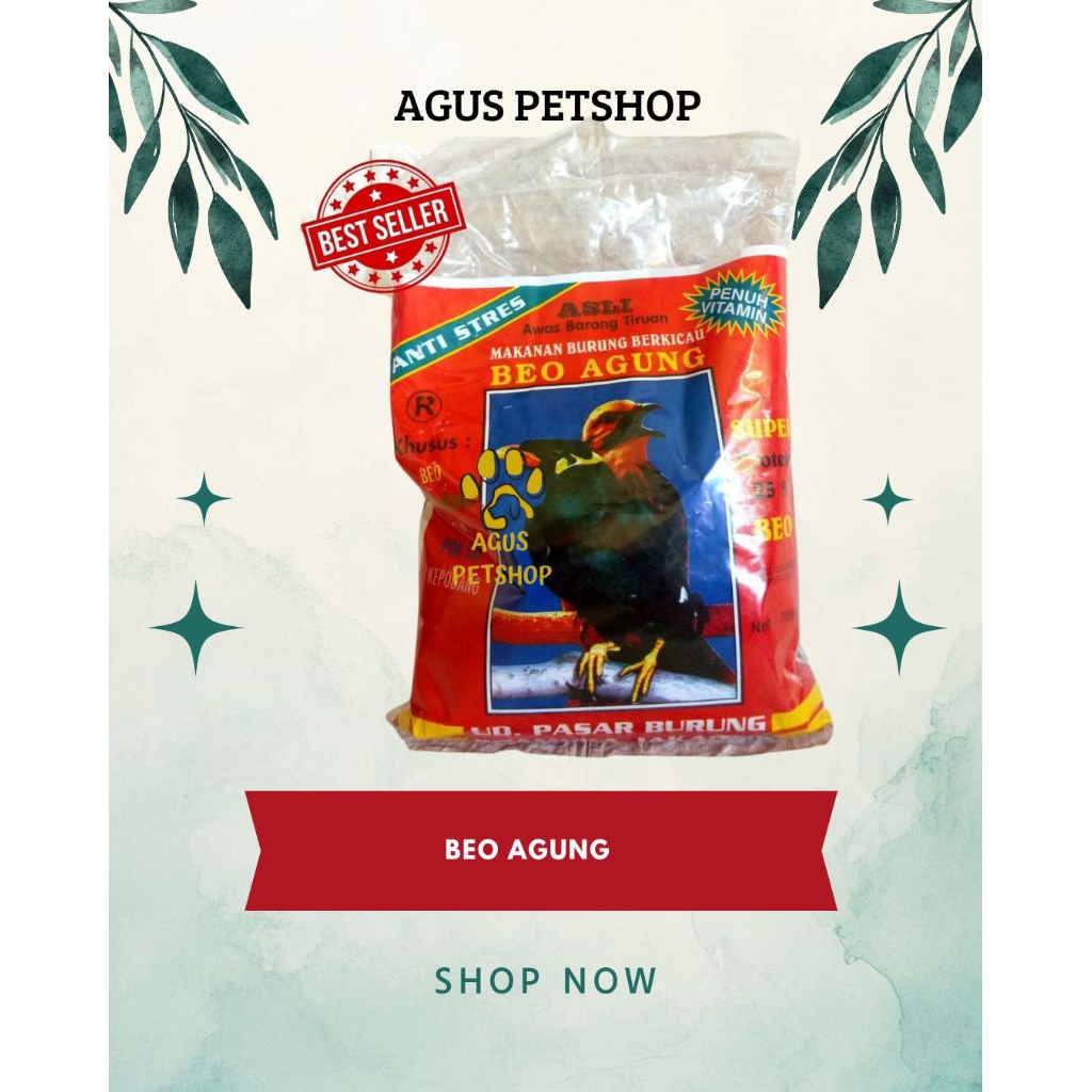 Beo Agung Voer Makanan Burung Berkicau