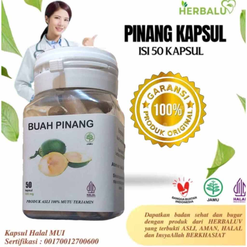 Buah pinang muda Original isi 50.Kapsul.