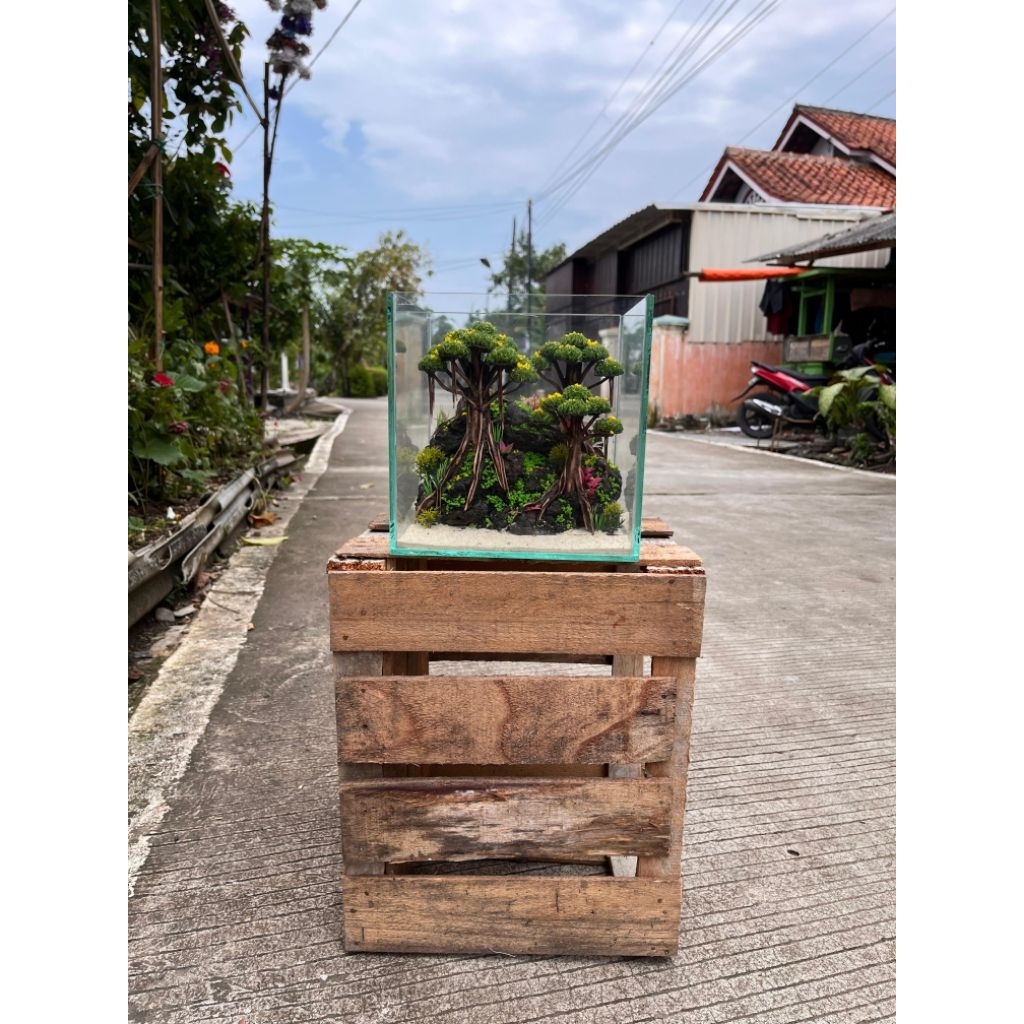 Aquascape Bonsai Mini Fullset ukuran 20x20