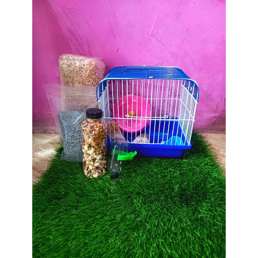 Paket hamster winter argente/tiger/golden