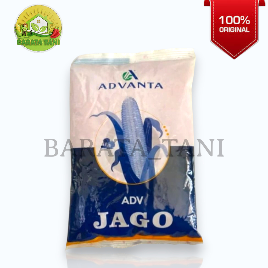 Benih Bibit Jagung ADVANTA JAGO 1KG Original