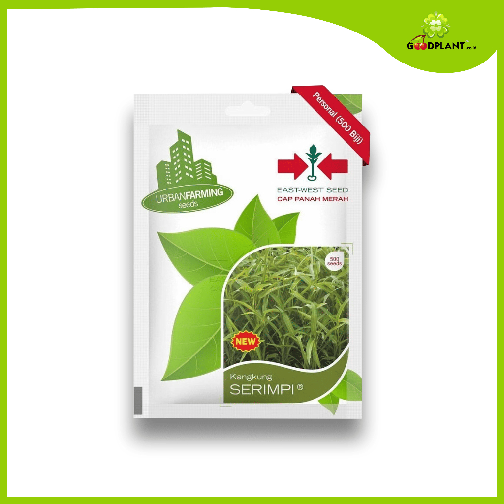 Panah Merah Small Kangkung Serimpi