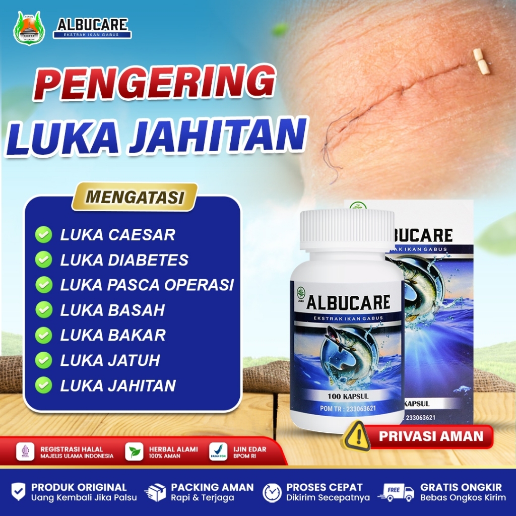 Albucare Kapsul Kutuk Ikan Gabus Obat Pengering Luka Jahitan, Luka Bekas Operasi, Luka Kecelakaan