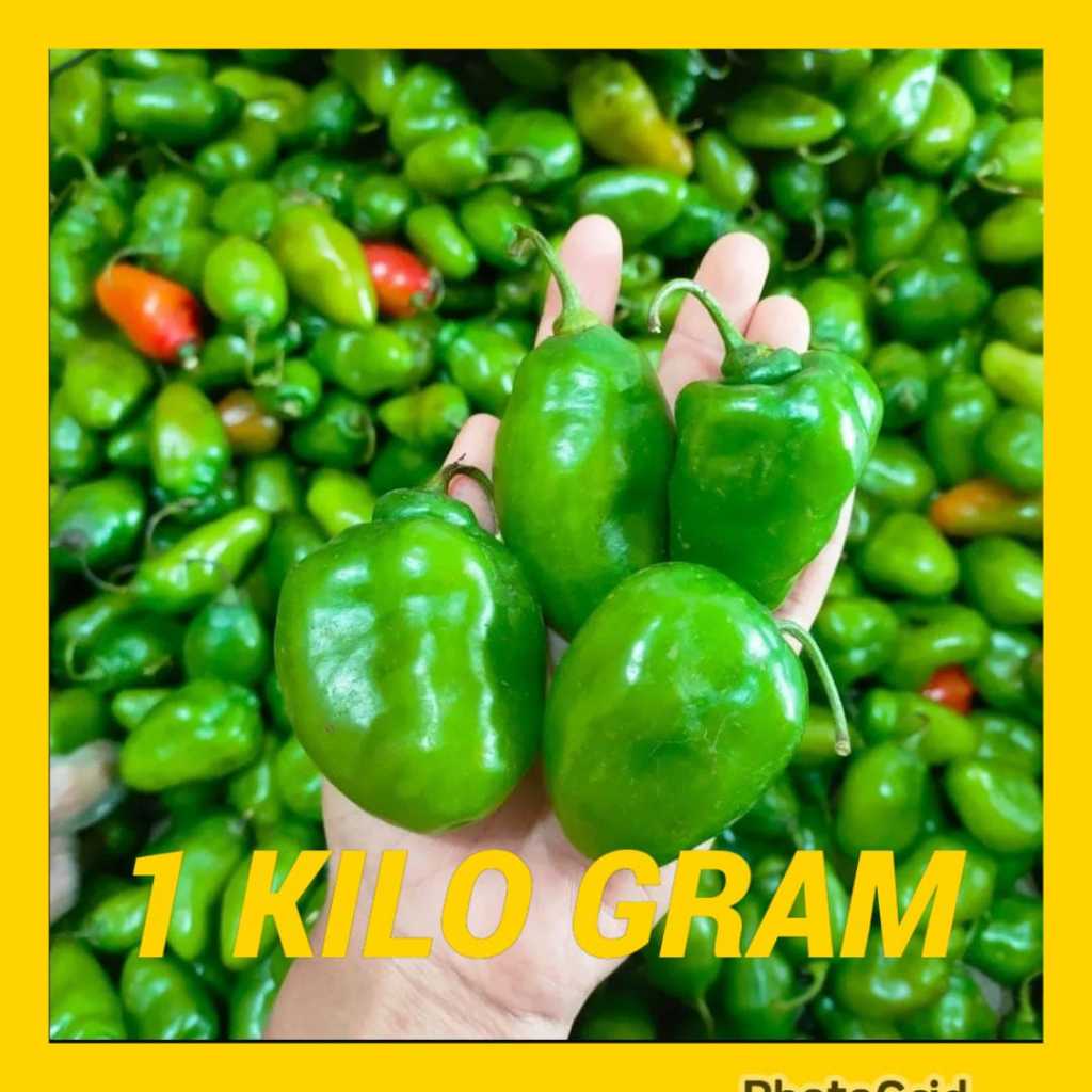 CABAI GENDOT HIJAU 1 KG - CABE BENDOT ASLI BANDUNG PEDAS NIKMAT HEMAT PRAKTIS SIAP MASAK