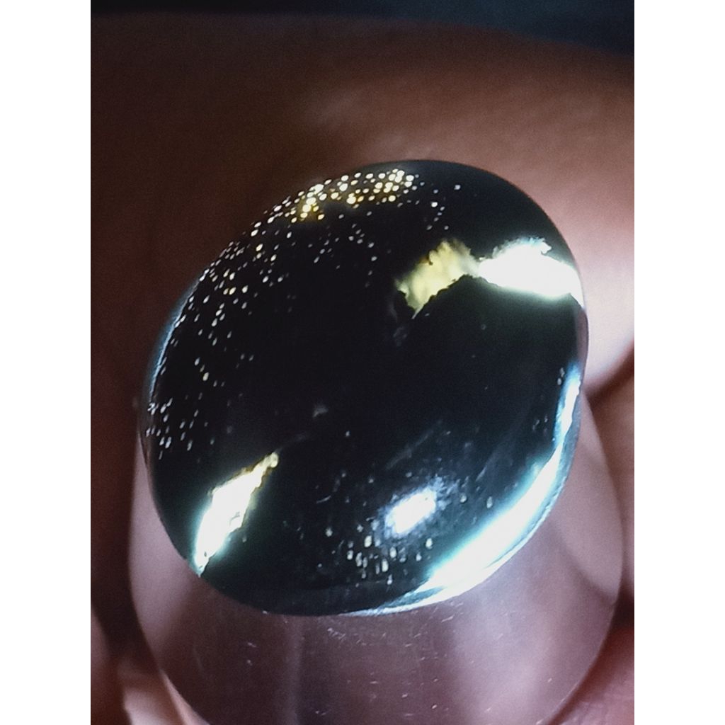 Batu Fosill Kelor Hitam Pasir Emas