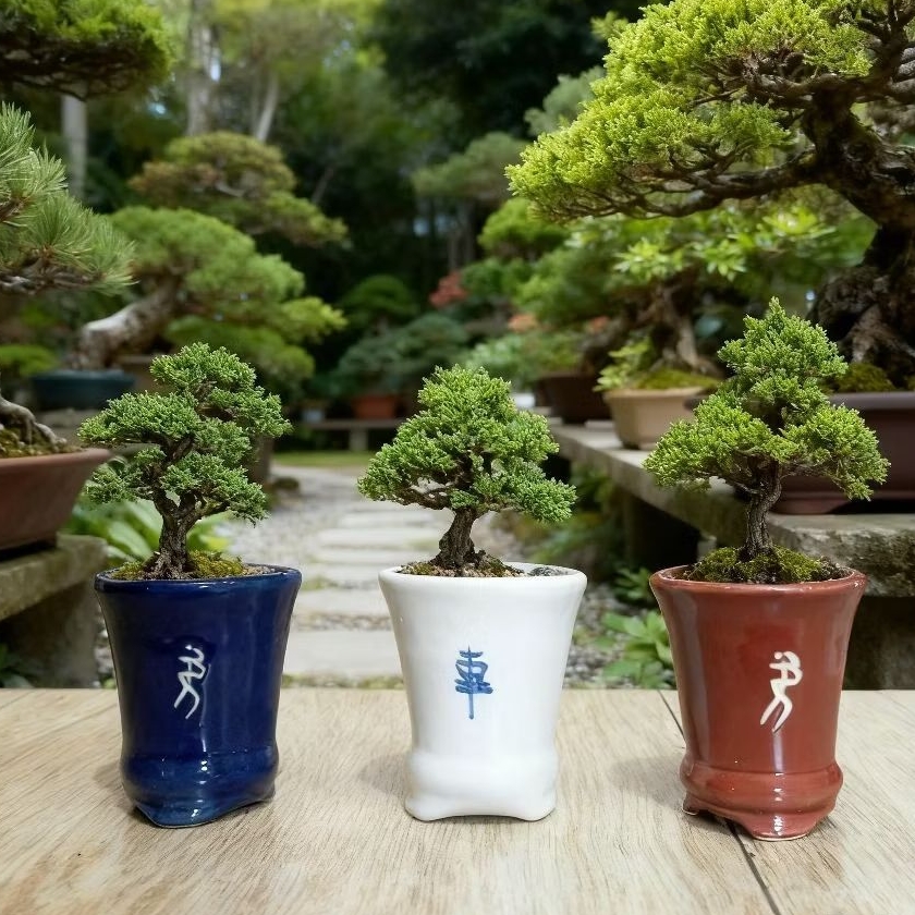 1Pcs Pot Keramik Bonsai Cascade Premium pot keramik tanaman hias pot keramik pohon bonsai