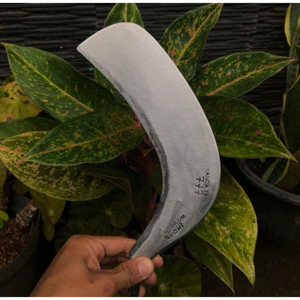 deres arit deres penderesan sadap kelapa bahan baja isen