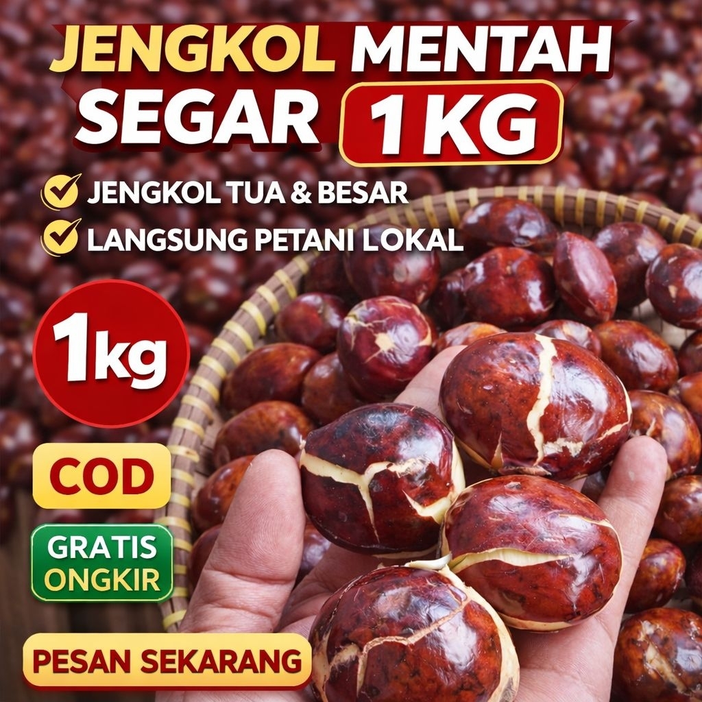 Jengkol tua Segar 1kg | Jengkol Tua Besar Fresh