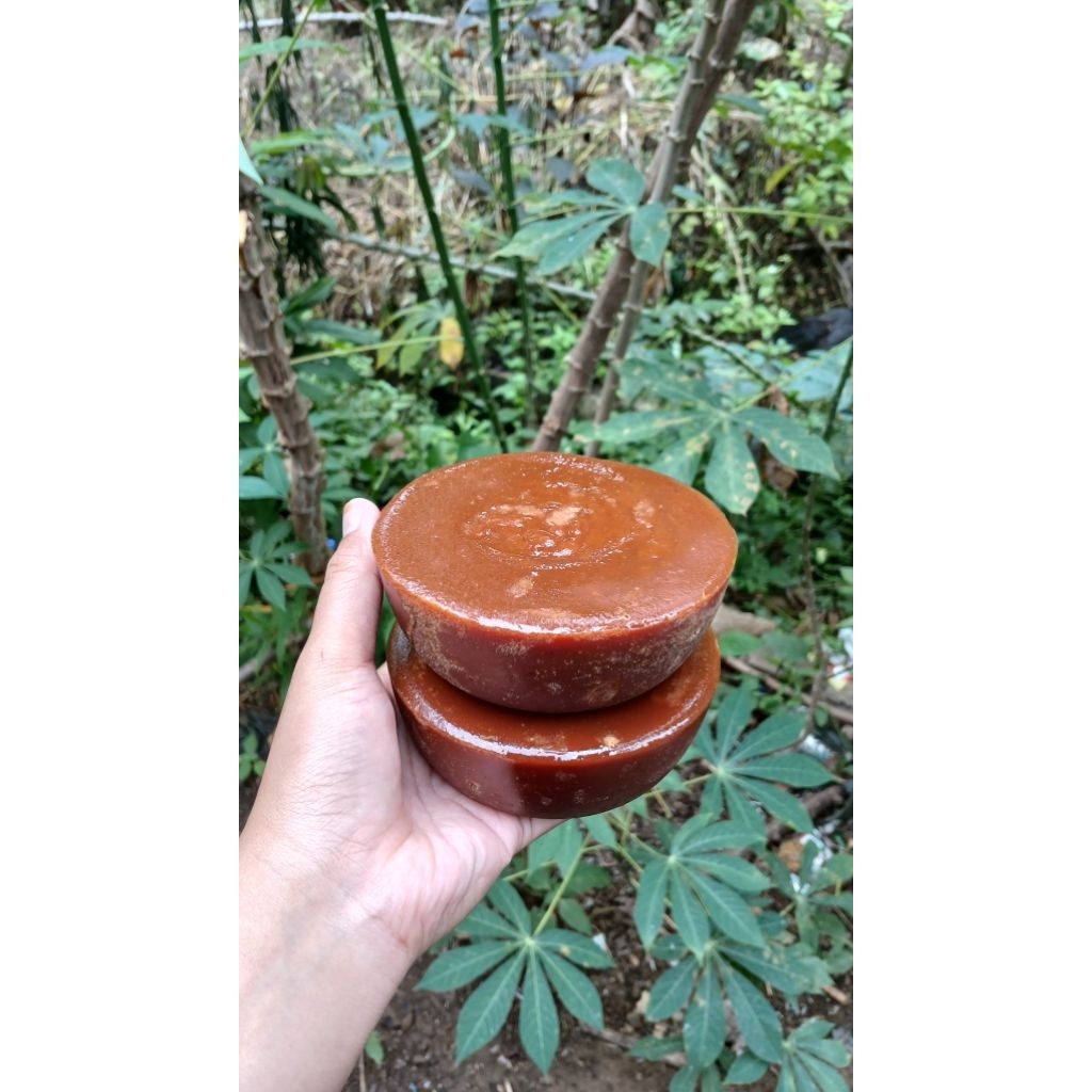 Gula Aren Asli khas tanggamus lampung ( bijian )