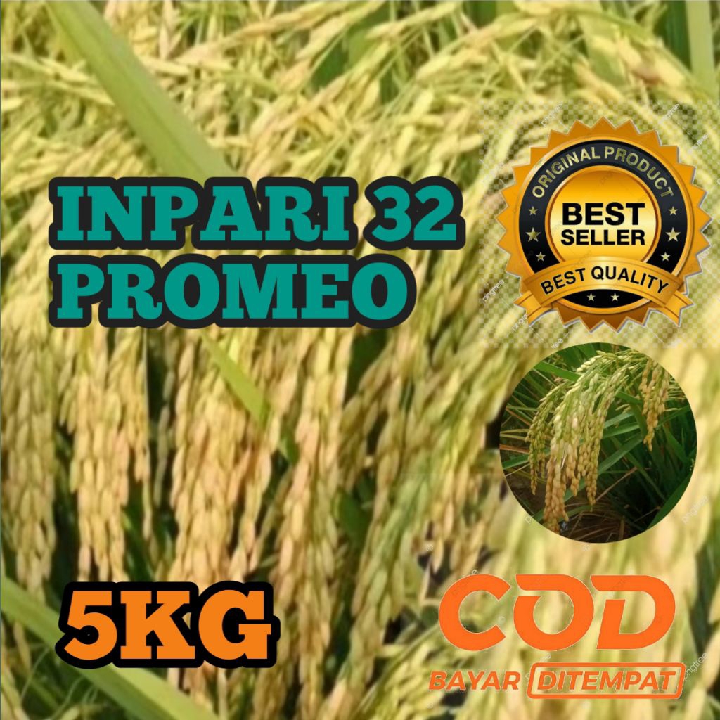 BENIH PADI NEW INPARI 32 PROMEO 5KG