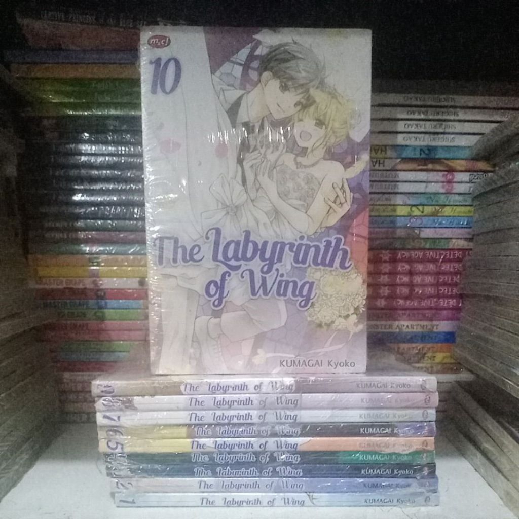 Komik The Labyrinth of Wing 1-10