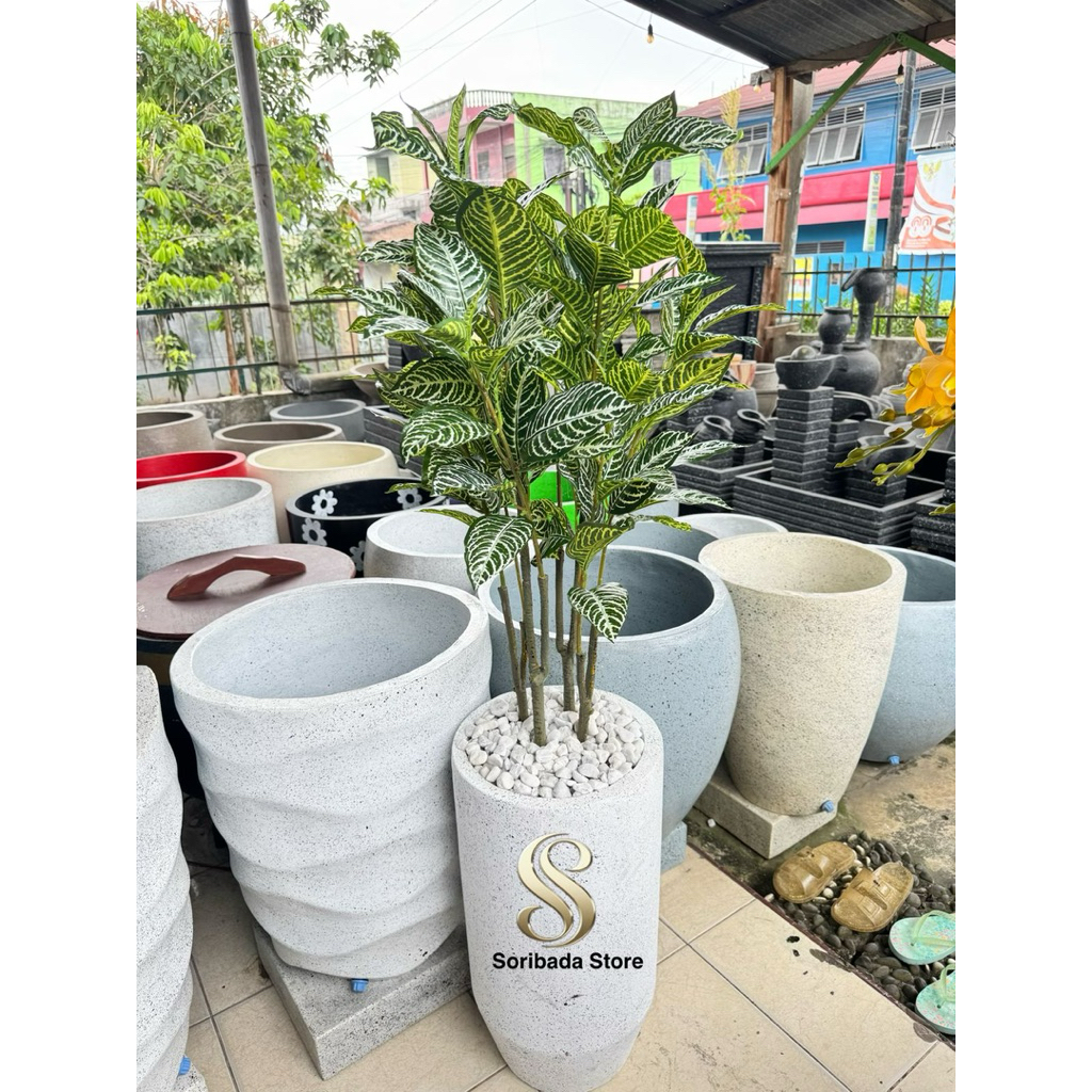 Pohon Alpelandra Hias | Pohon Hias | Pohon Alpelandra Artificial | Bunga Hias | Dekorasi Rumah | Hia