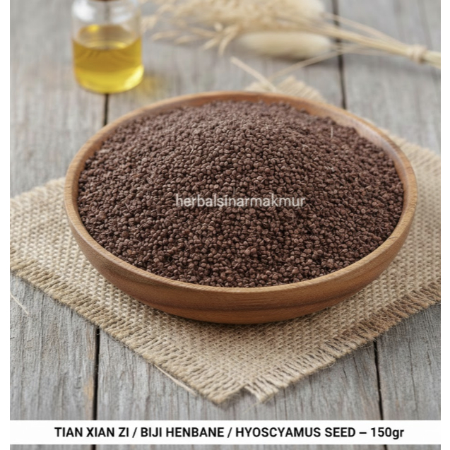 150 gr TIAN XIAN ZI / BIJI HENBANE / HYOSCYAMUS SEED