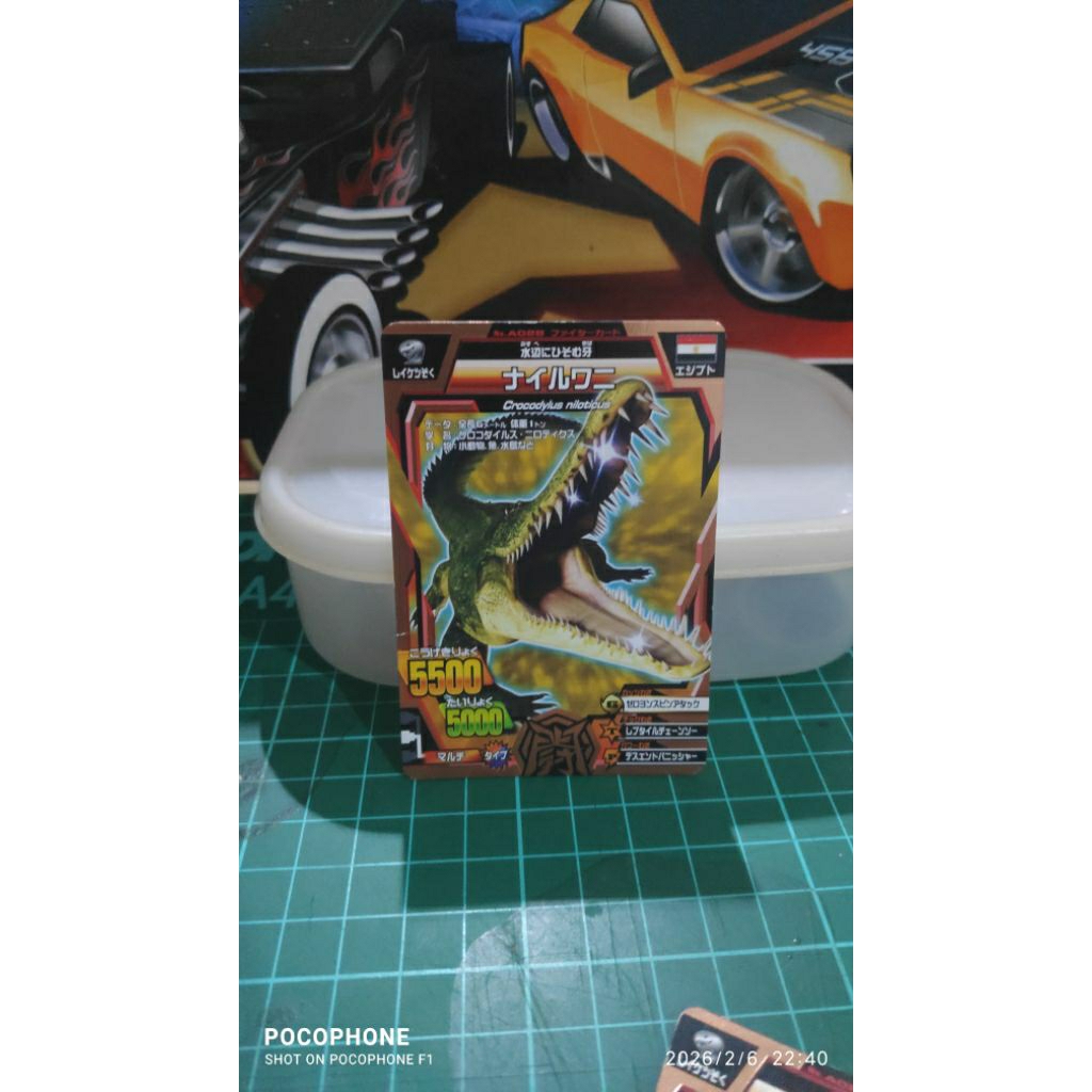 kartu animal kaiser  bronze nile crocodile japan