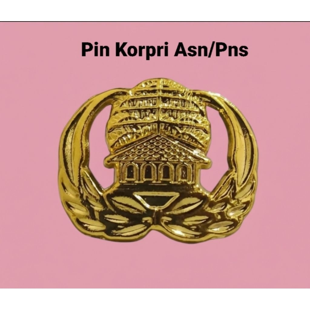Pin Korpri Asn/Pns