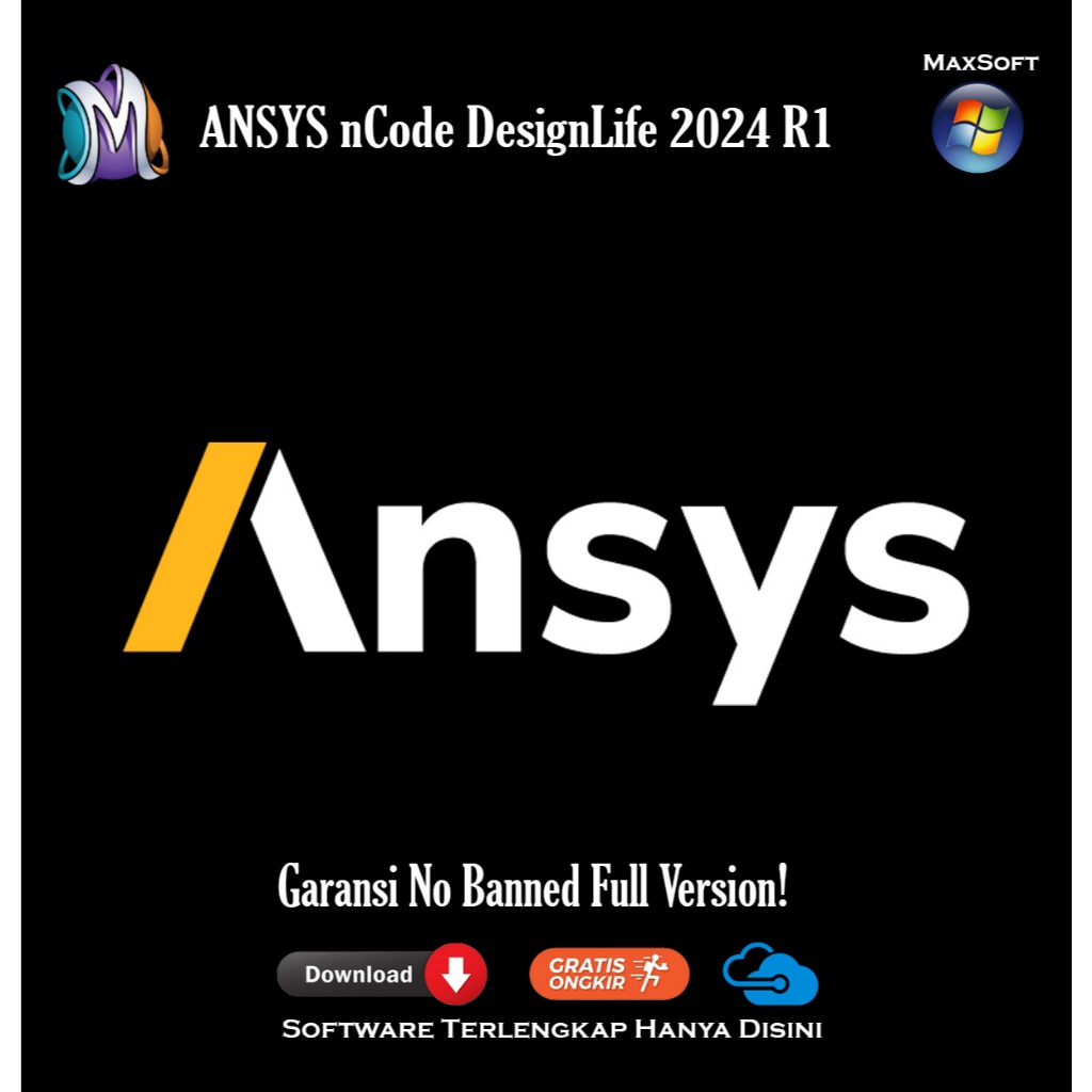 ANSYS nCode DesignLife 2024 R1 Permanen Lifetime