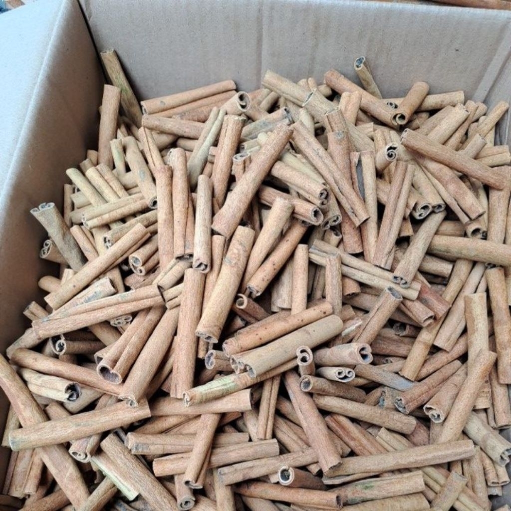 kulit kayu manis kerinci