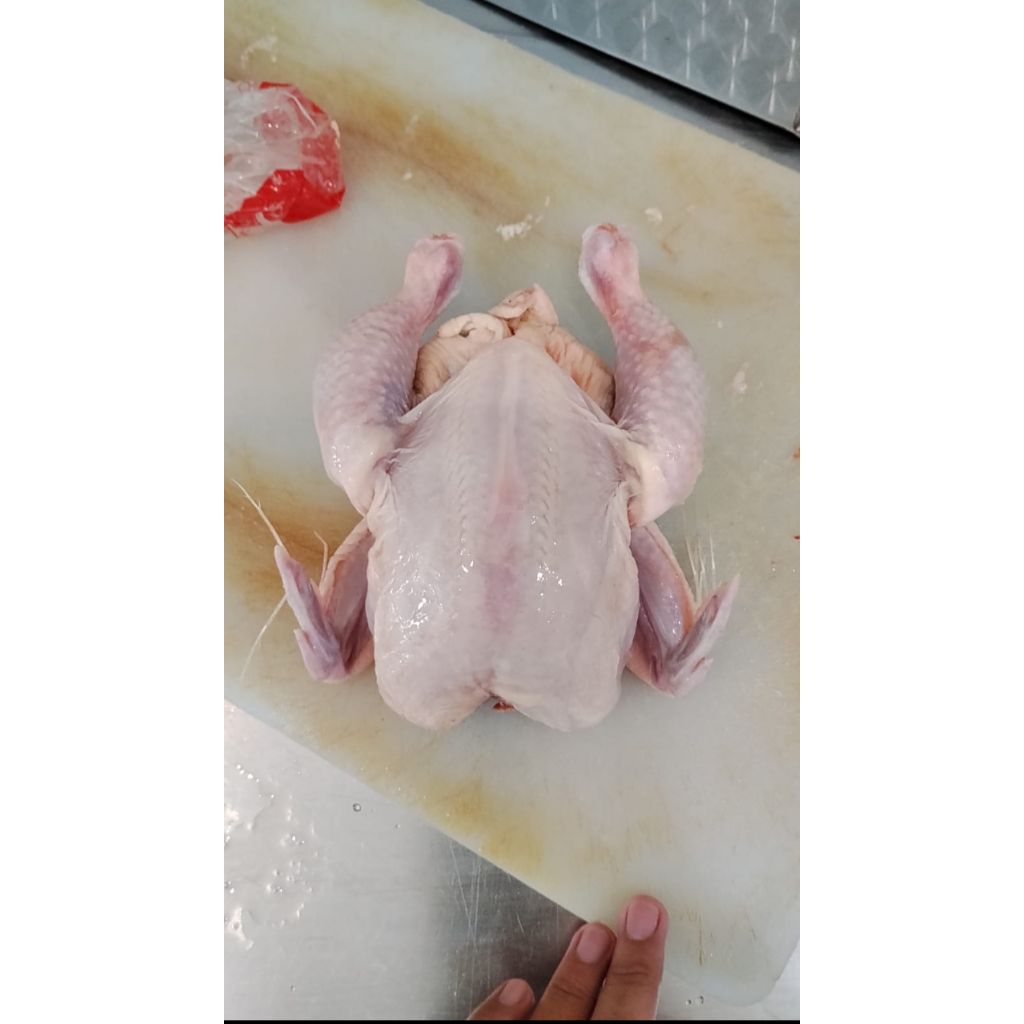 ayam Frozen cp