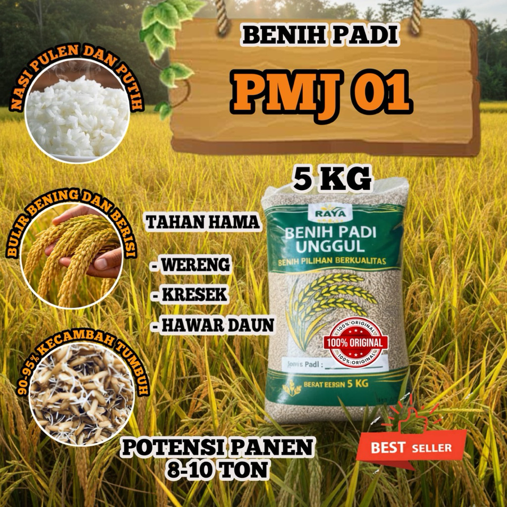 Benih padi bibit padi unggul RAJASA 01 Asli kemasan 5kg kualitas terpilih dari biji terseleksi
