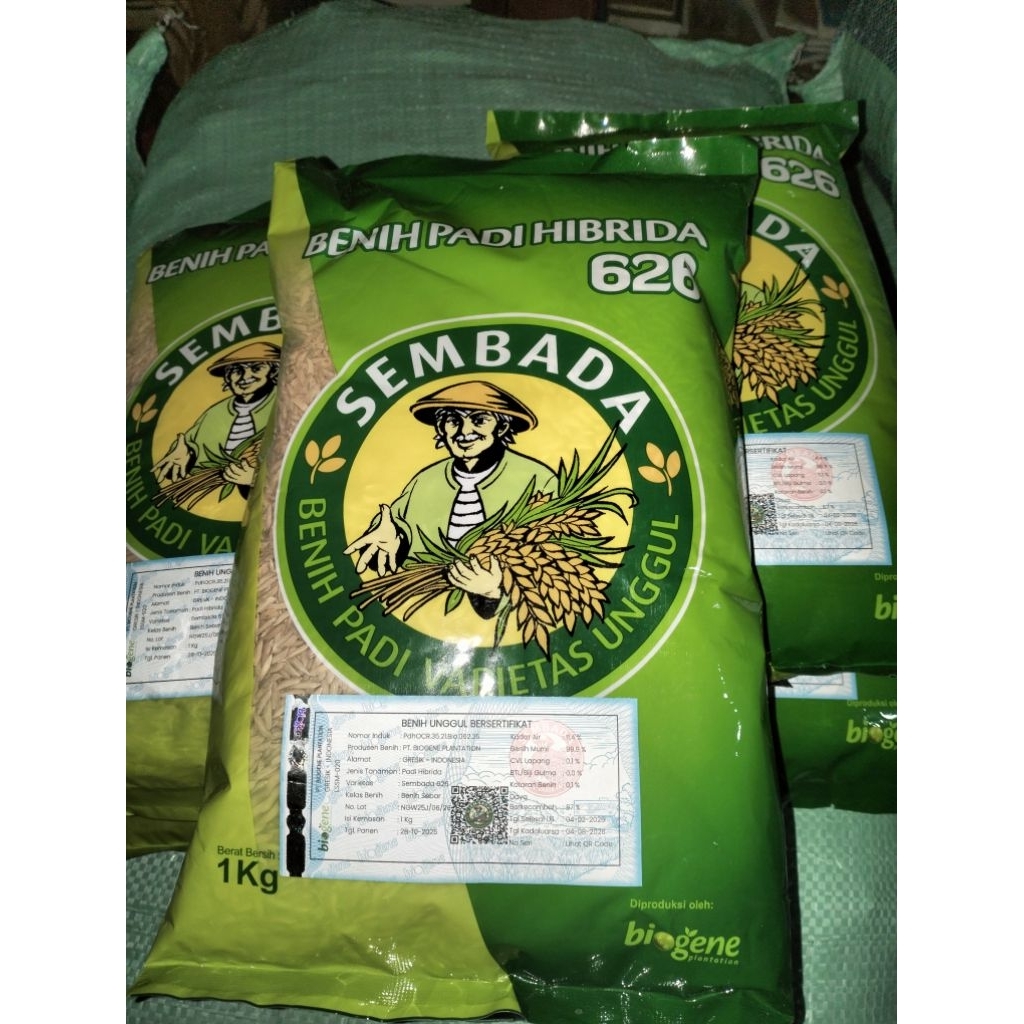 benih padi SEMBADA 626