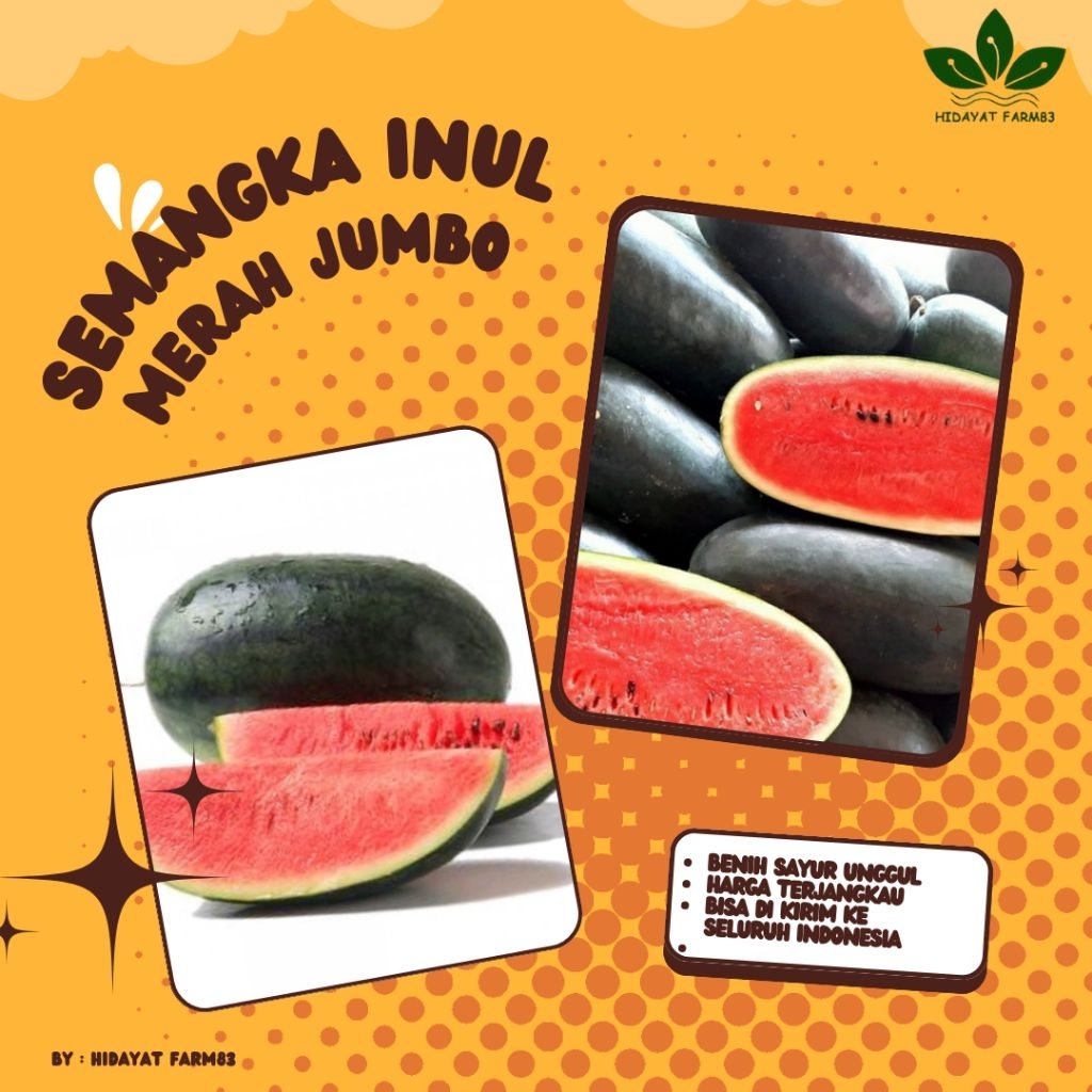 (10 biji) BIJI BENIH SEMANGKA INUL JUMBO UNGGUL | EXTRA BONUS